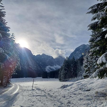 Apartmaji Volf Zgornje Gorje Esterno foto