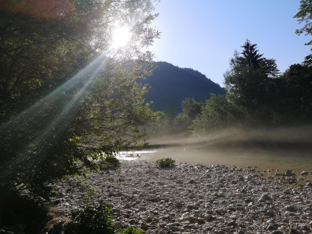 Apartmaji Volf Zgornje Gorje Esterno foto