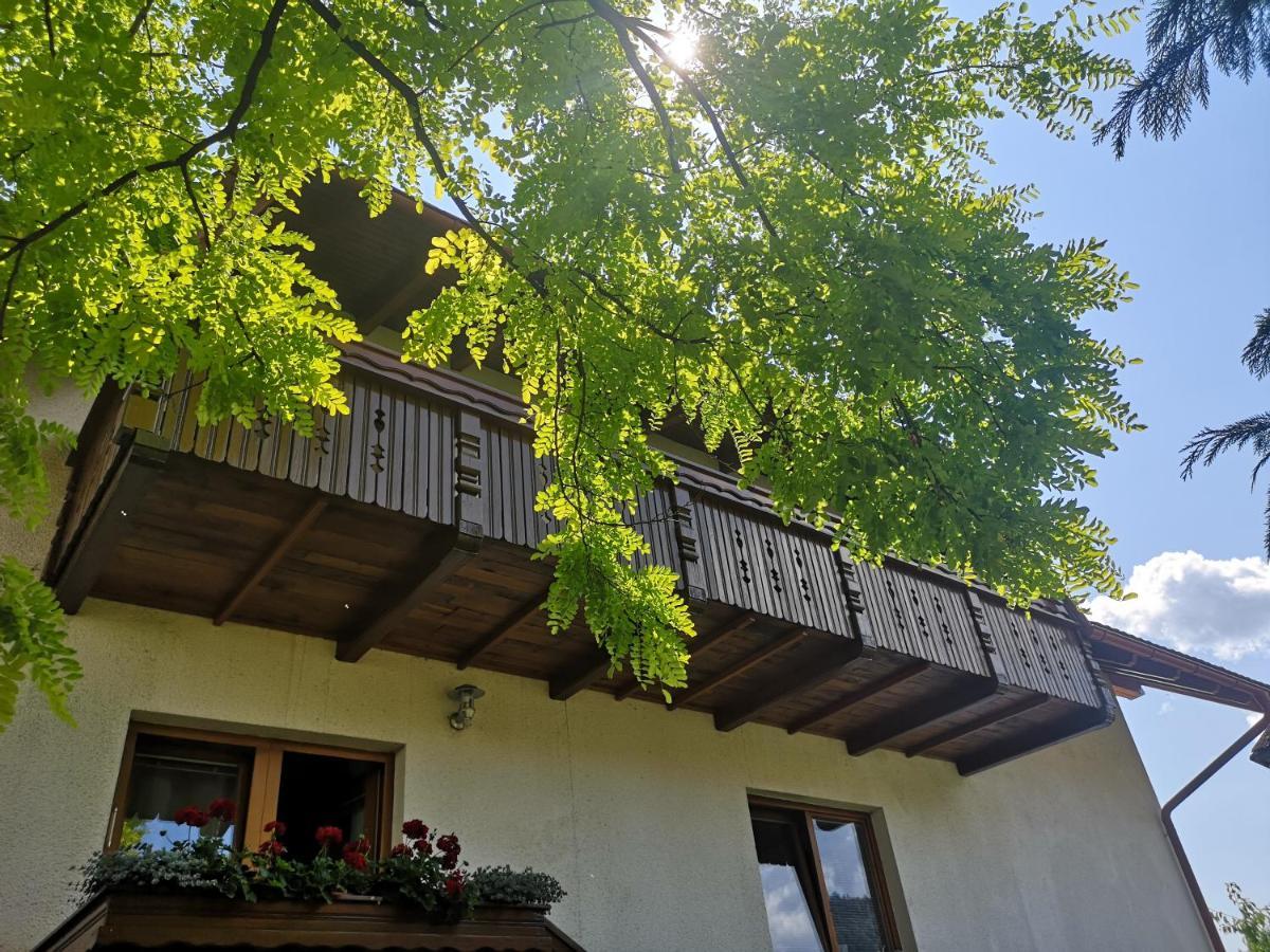 Apartmaji Volf Zgornje Gorje Esterno foto