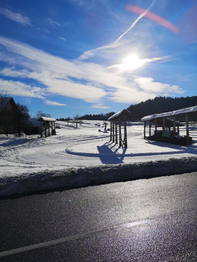 Apartmaji Volf Zgornje Gorje Esterno foto