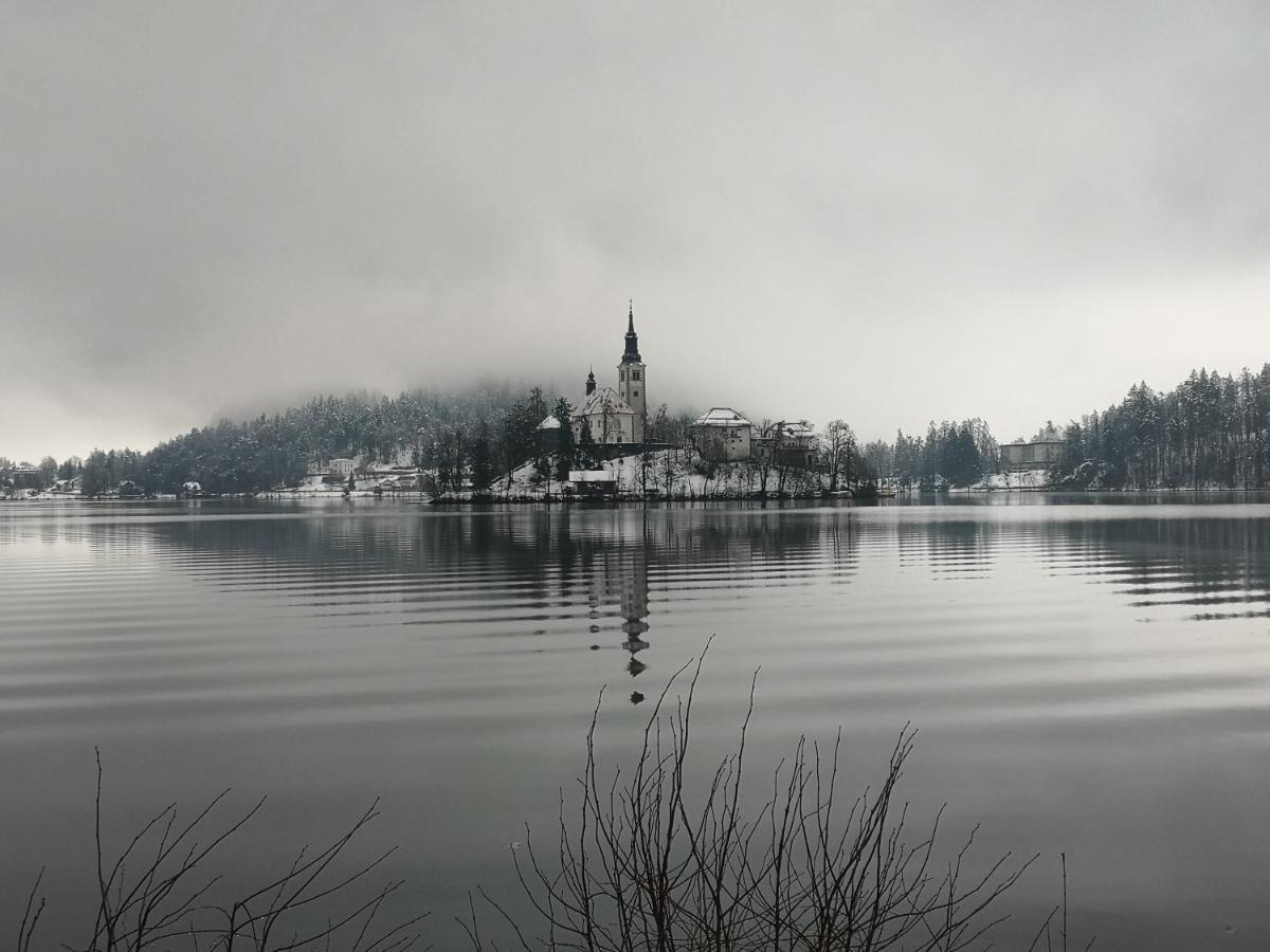 Apartmaji Volf Zgornje Gorje Esterno foto