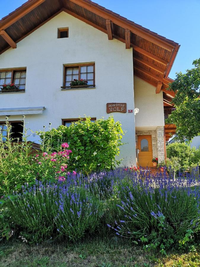 Apartmaji Volf Zgornje Gorje Esterno foto