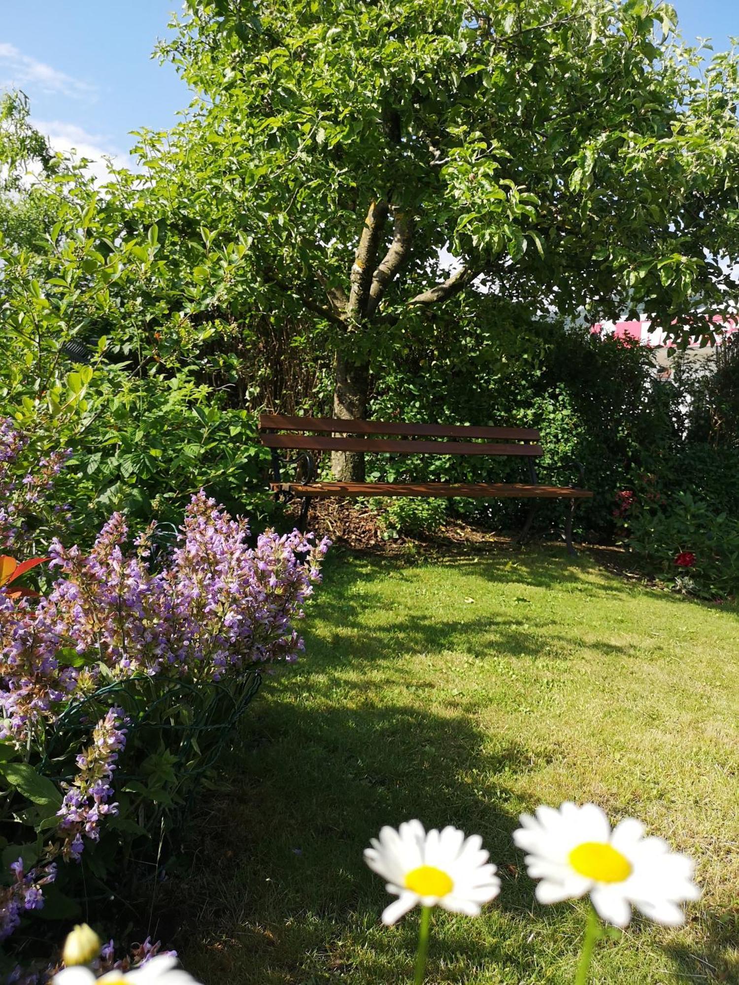 Apartmaji Volf Zgornje Gorje Camera foto