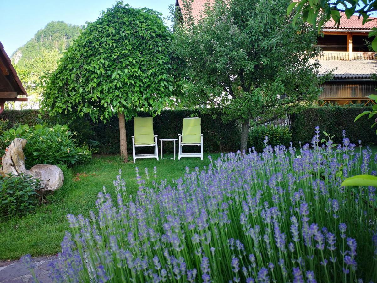 Apartmaji Volf Zgornje Gorje Esterno foto